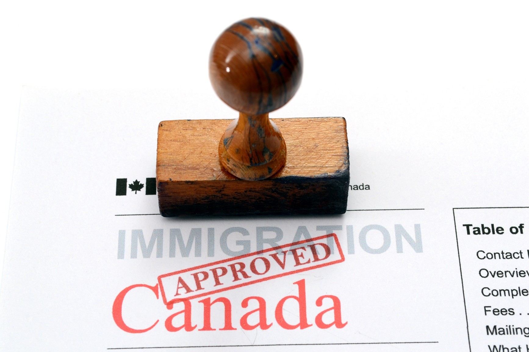 Immigration Consultant Toronto Your Options If You Are Out Of 