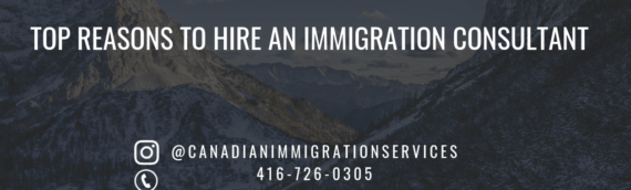 Top Reasons to Hire an Immigration Consultant